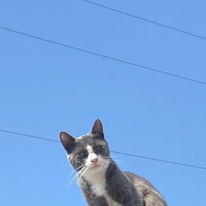 Meet your Posher, Jocelyn